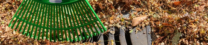 Greenest City news